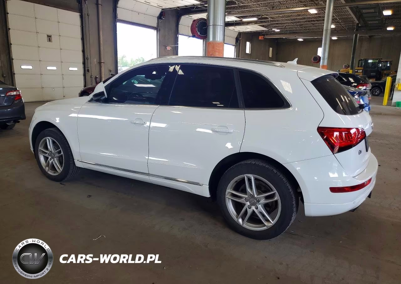 2013 Audi Q5 Premium Plus VIN:WA1LFAFP4DA021773 - 2