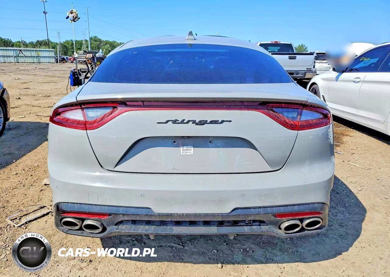 2019 Kia Stinger Gt2 VIN:KNAE55LC0K6043292 - 6