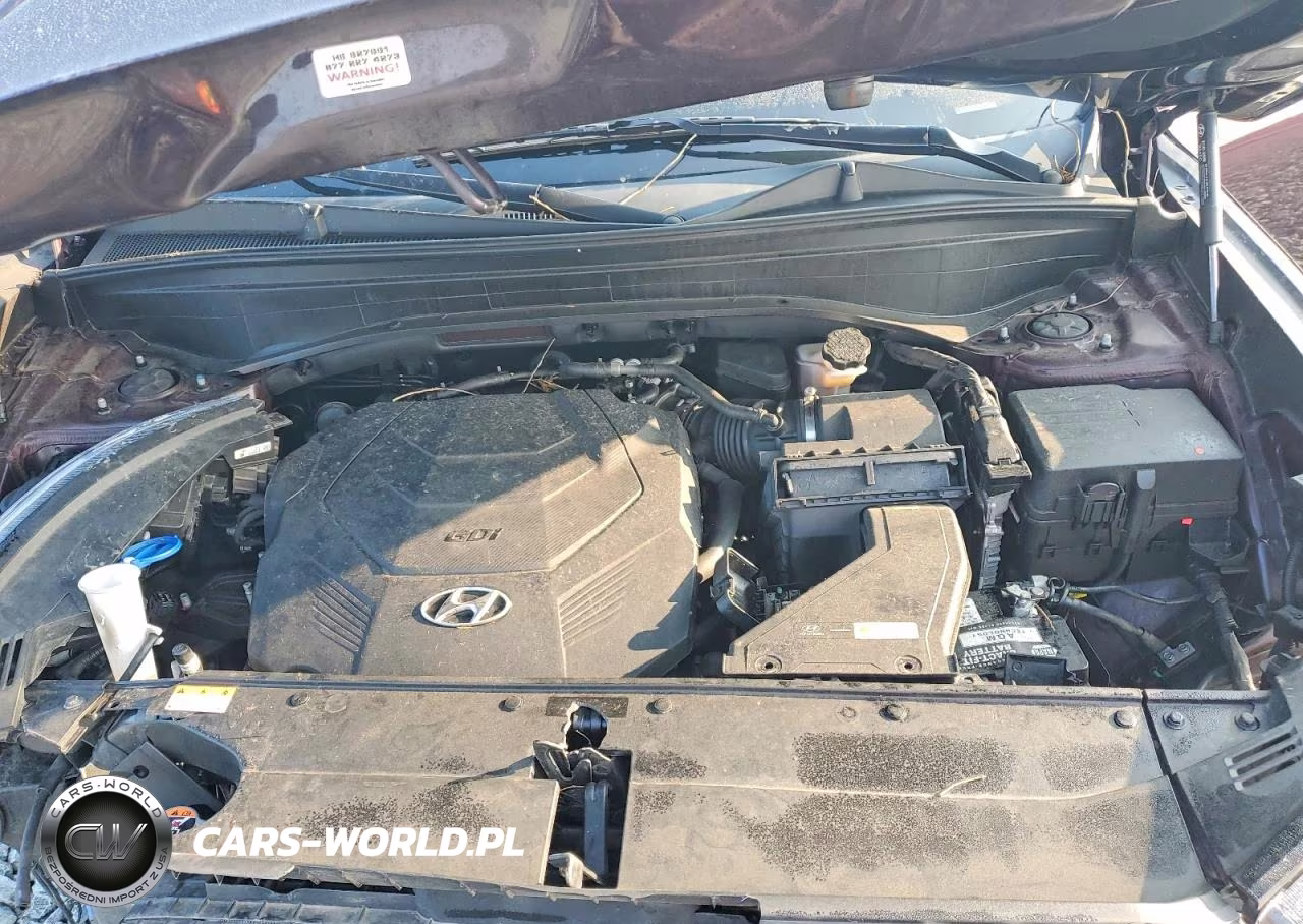 2021 Hyundai Palisade Sel VIN:KM8R3DHE3MU268184 - 12