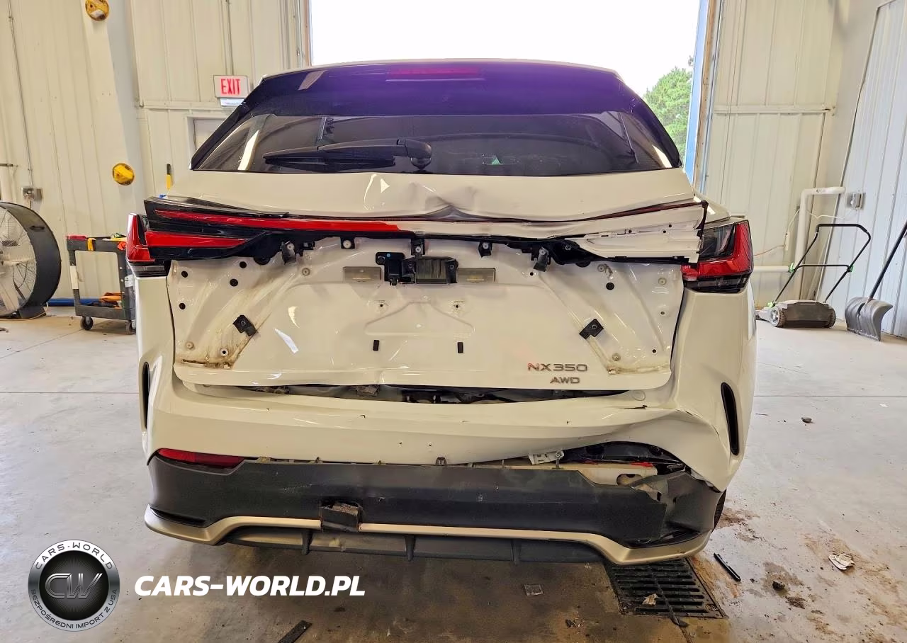 2023 Lexus Nx 350 VIN:2T2KGCEZ6PC018771 - 6