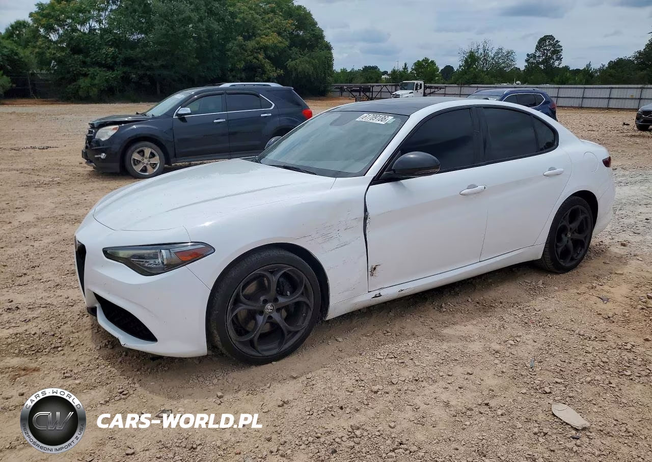 2019 Alfa Romeo Giulia VIN:ZARFANANXK7607229 - 1