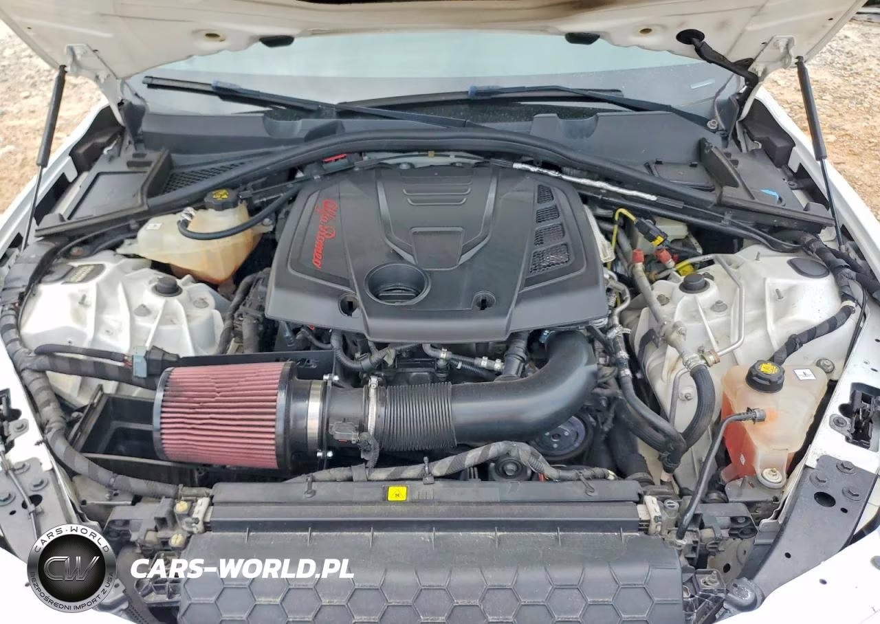 2019 Alfa Romeo Giulia VIN:ZARFANANXK7607229 - 11