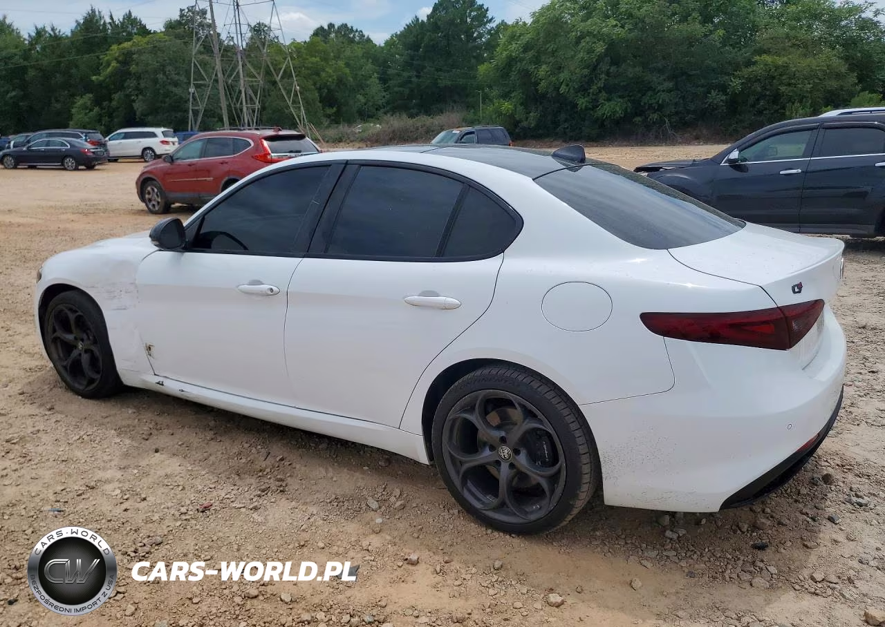 2019 Alfa Romeo Giulia VIN:ZARFANANXK7607229 - 2