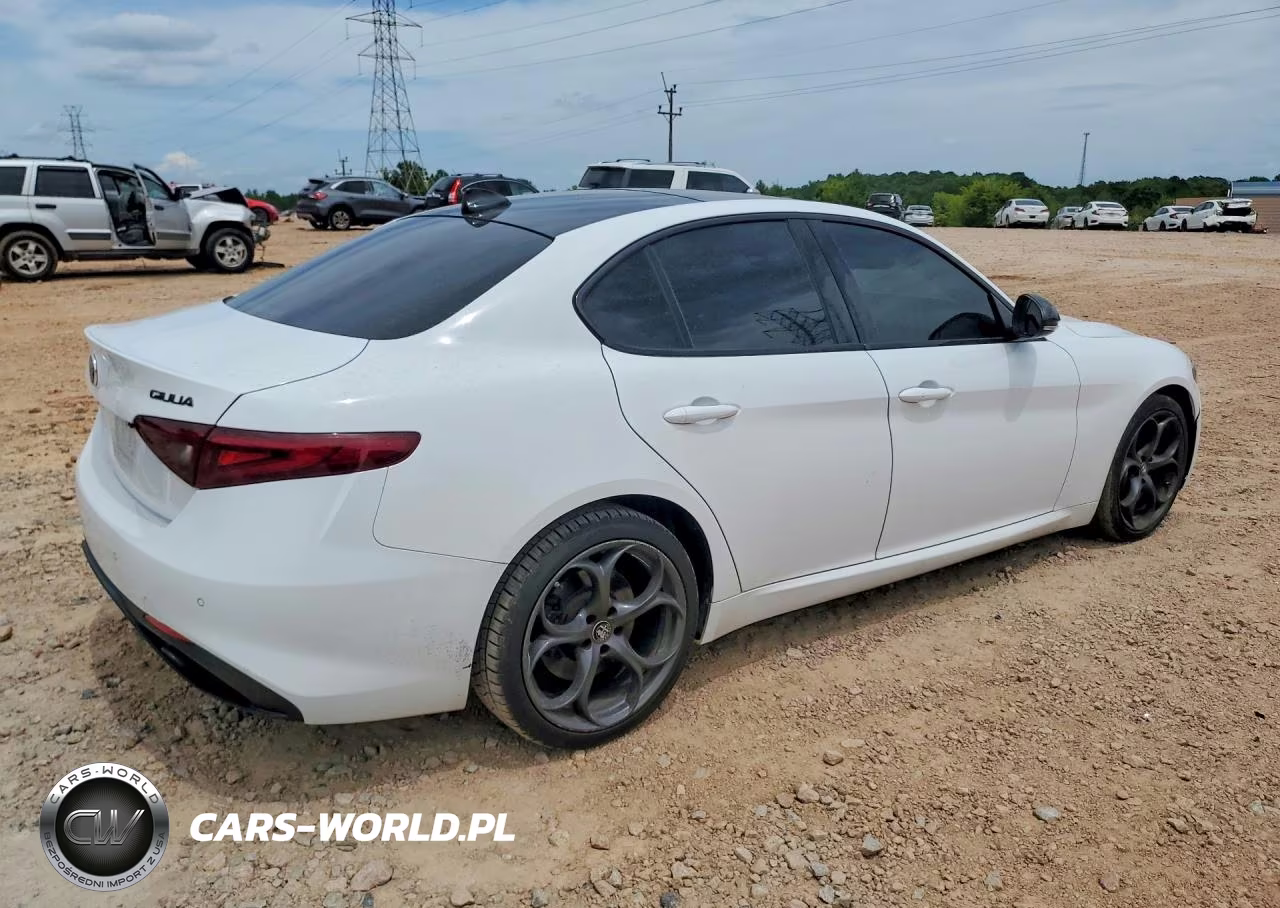 2019 Alfa Romeo Giulia VIN:ZARFANANXK7607229 - 3