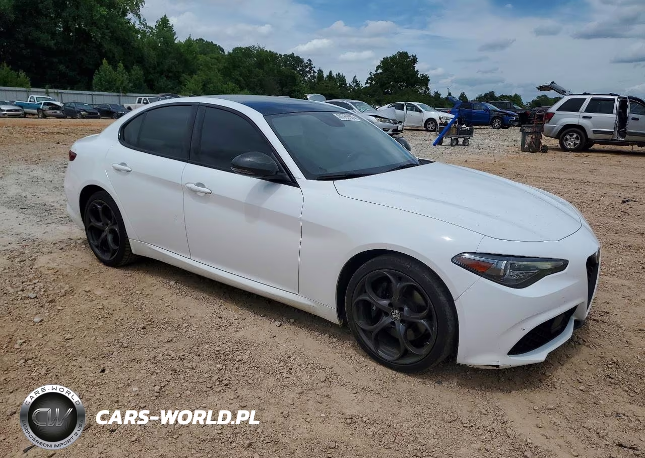 2019 Alfa Romeo Giulia VIN:ZARFANANXK7607229 - 4