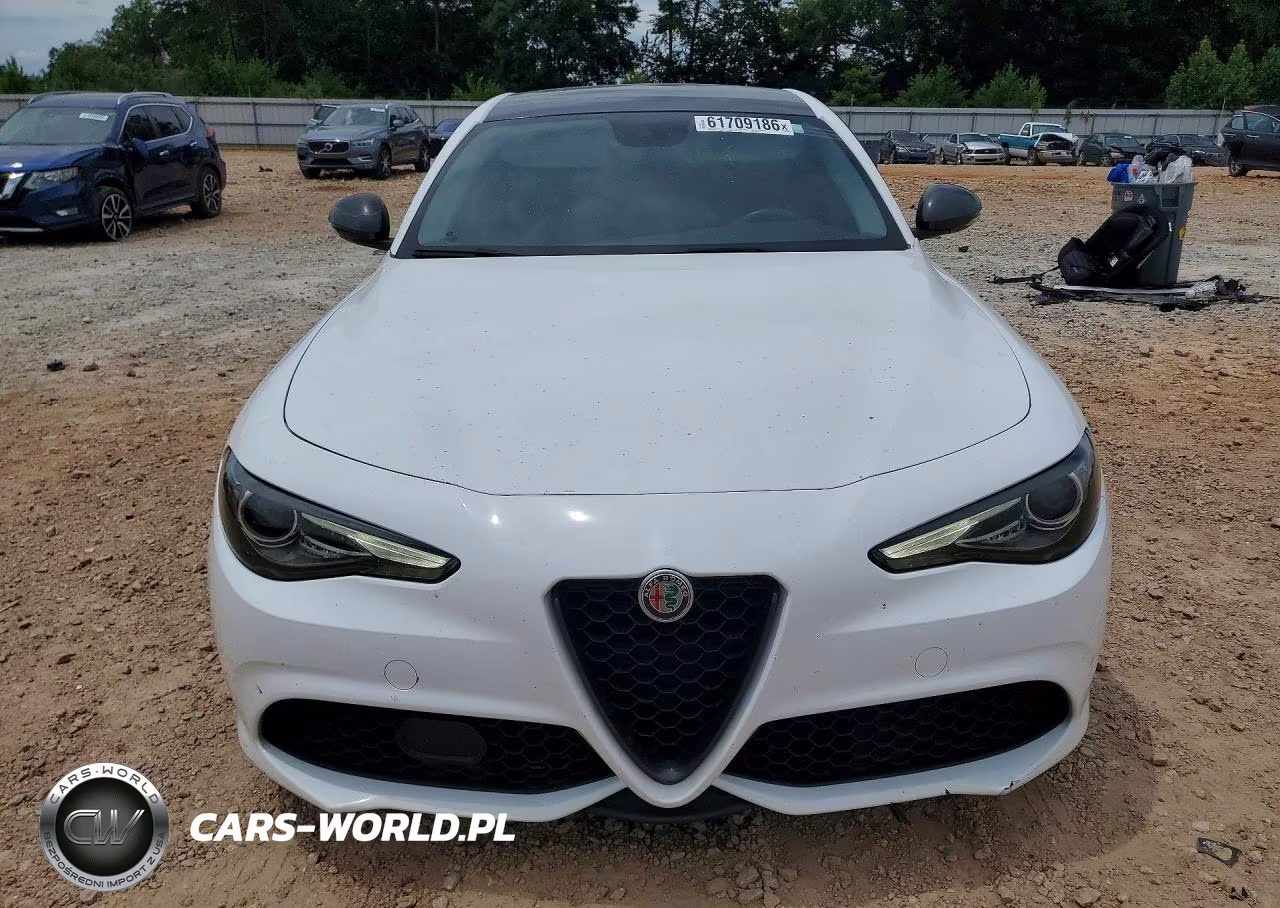 2019 Alfa Romeo Giulia VIN:ZARFANANXK7607229 - 5