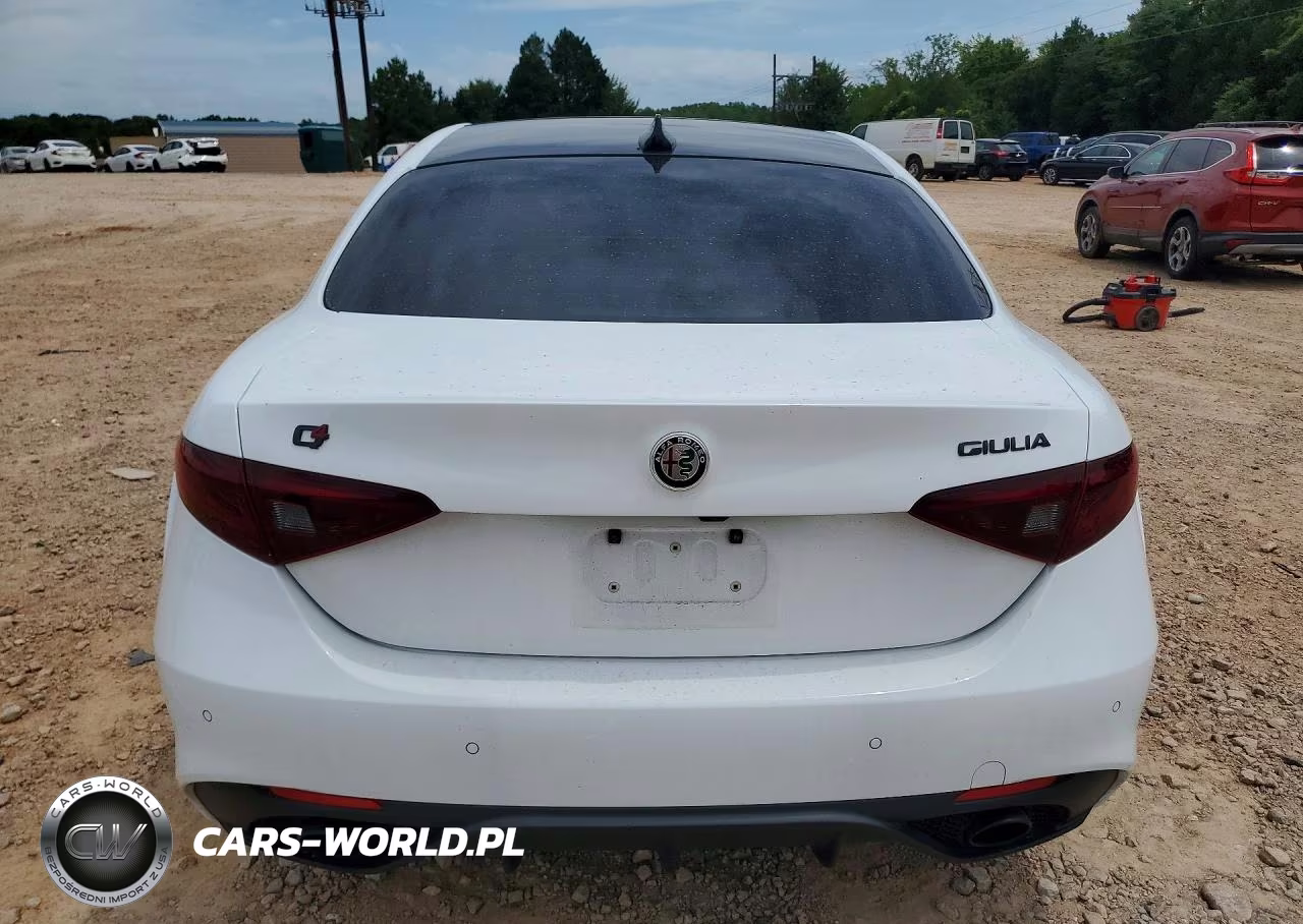 2019 Alfa Romeo Giulia VIN:ZARFANANXK7607229 - 6