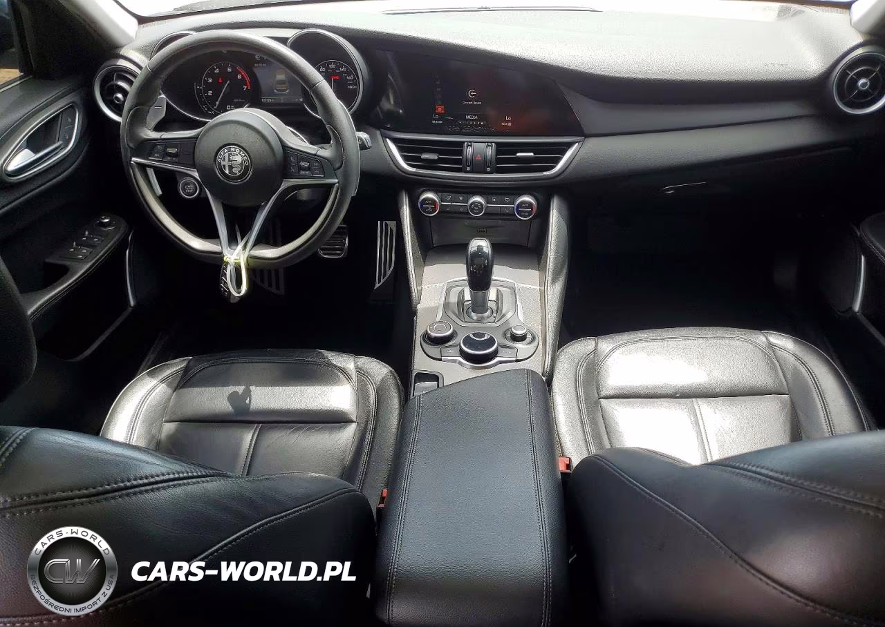 2019 Alfa Romeo Giulia VIN:ZARFANANXK7607229 - 8