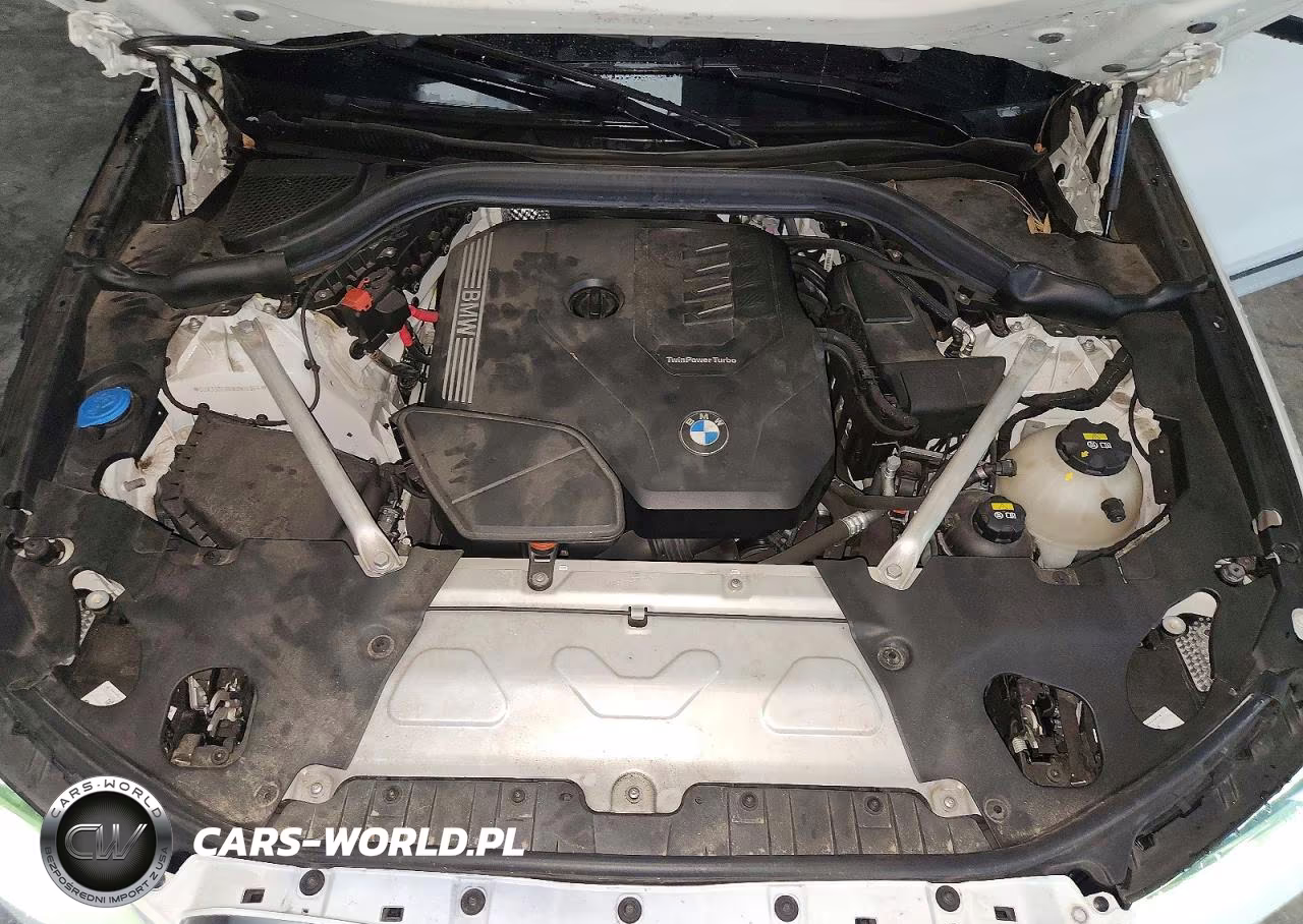 2022 BMW X4 xDrive30I VIN:5UX33DT05N9M14965 - 12