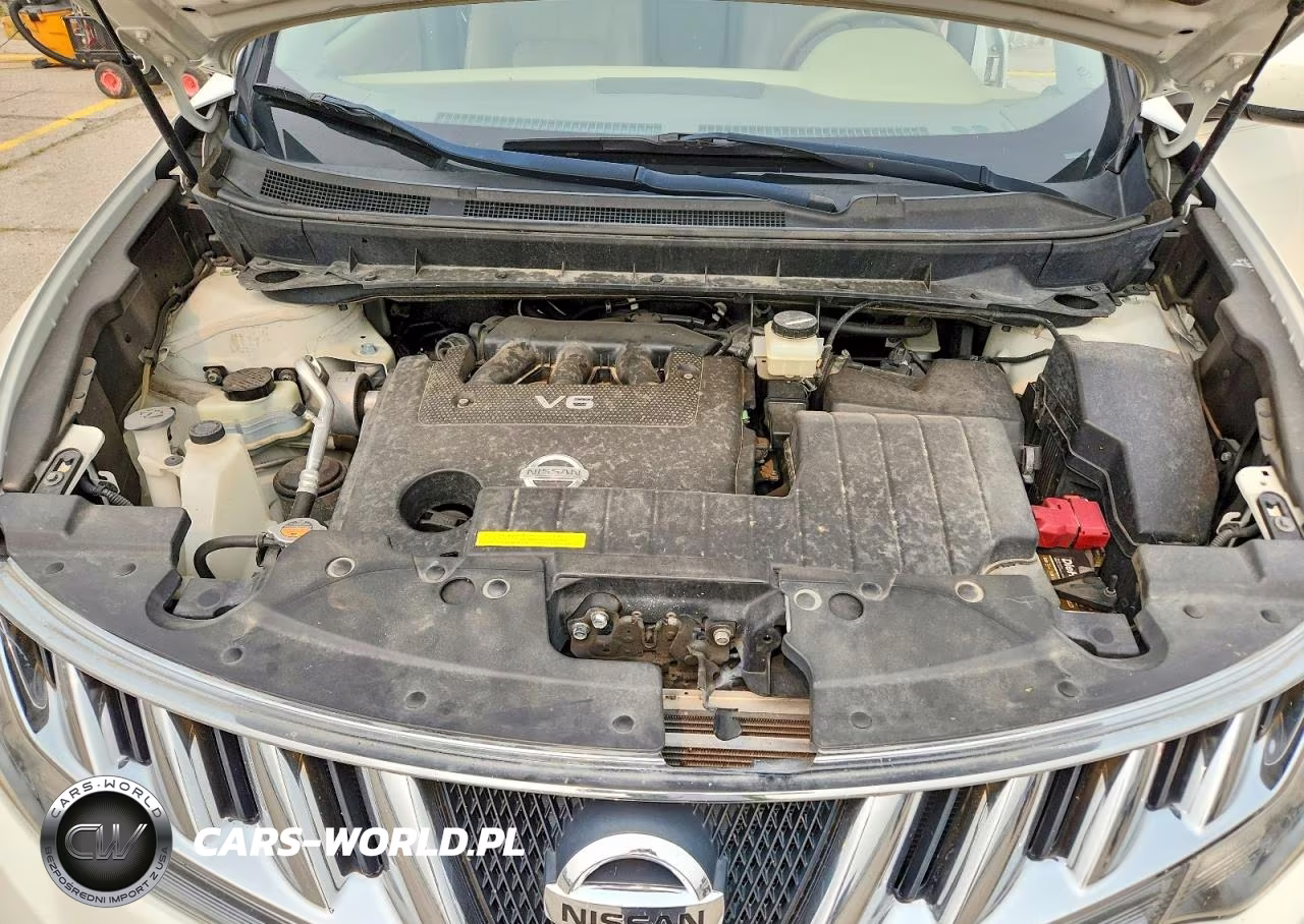 2010 Nissan Murano S VIN:JN8AZ1MW6AW114988 - 12