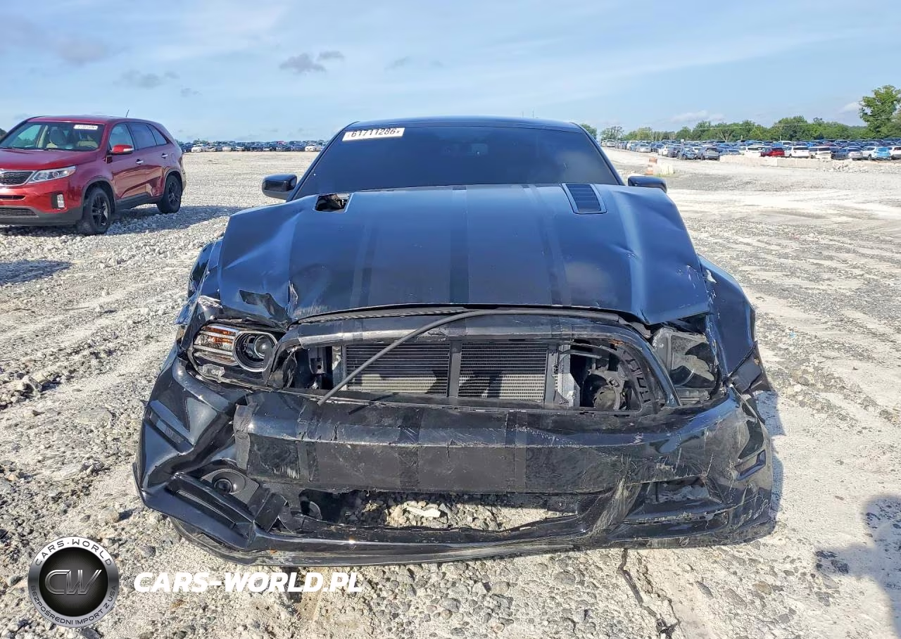 2014 Ford Mustang Gt VIN:1ZVBP8CF1E5326142 - 5