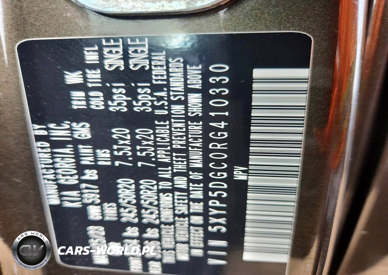 2024 Kia Telluride Sx VIN:5XYP5DGC0RG410330 - 13