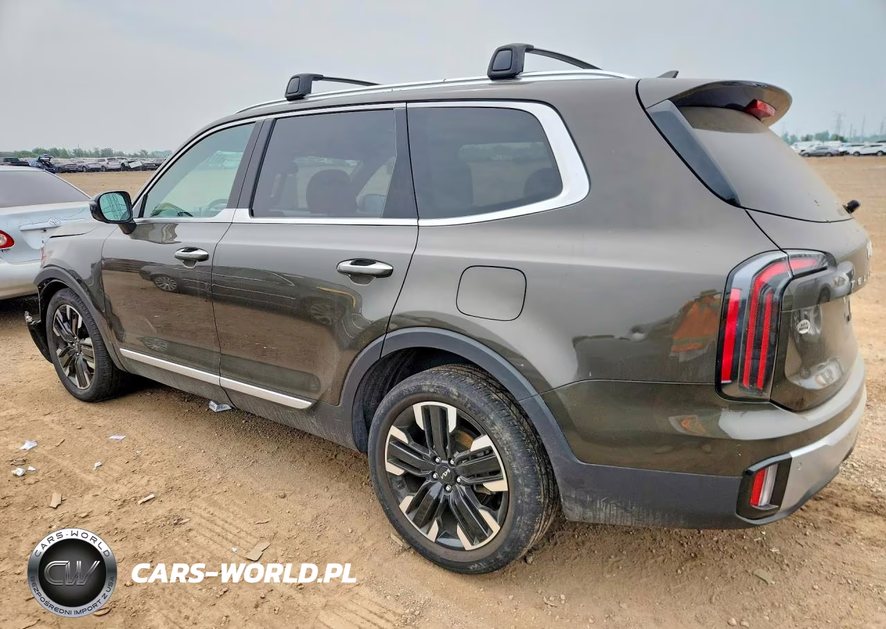 2024 Kia Telluride Sx VIN:5XYP5DGC0RG410330 - 2