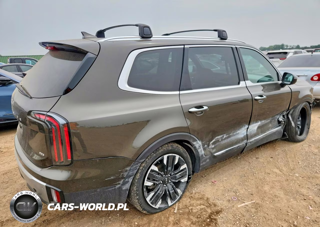 2024 Kia Telluride Sx VIN:5XYP5DGC0RG410330 - 3