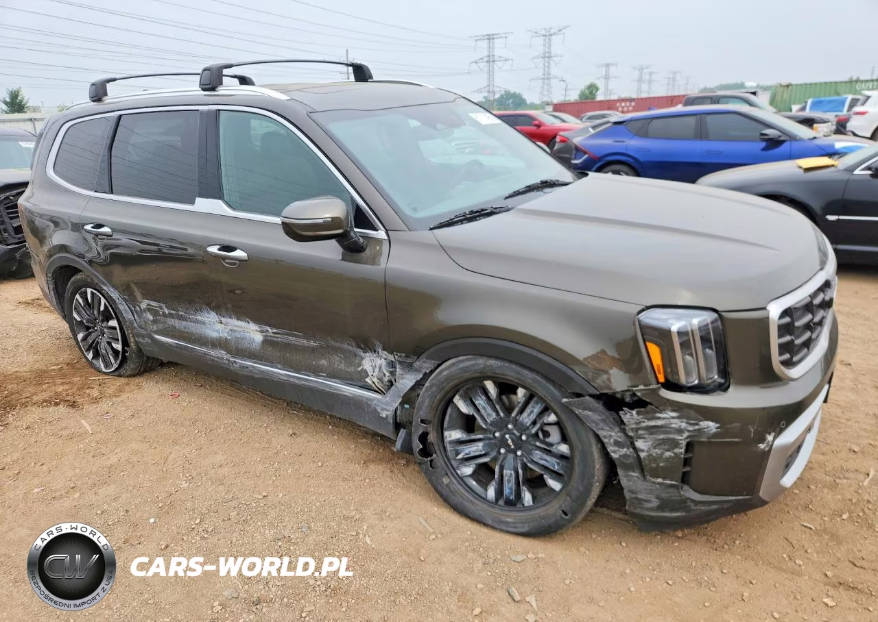 2024 Kia Telluride Sx VIN:5XYP5DGC0RG410330 - 4