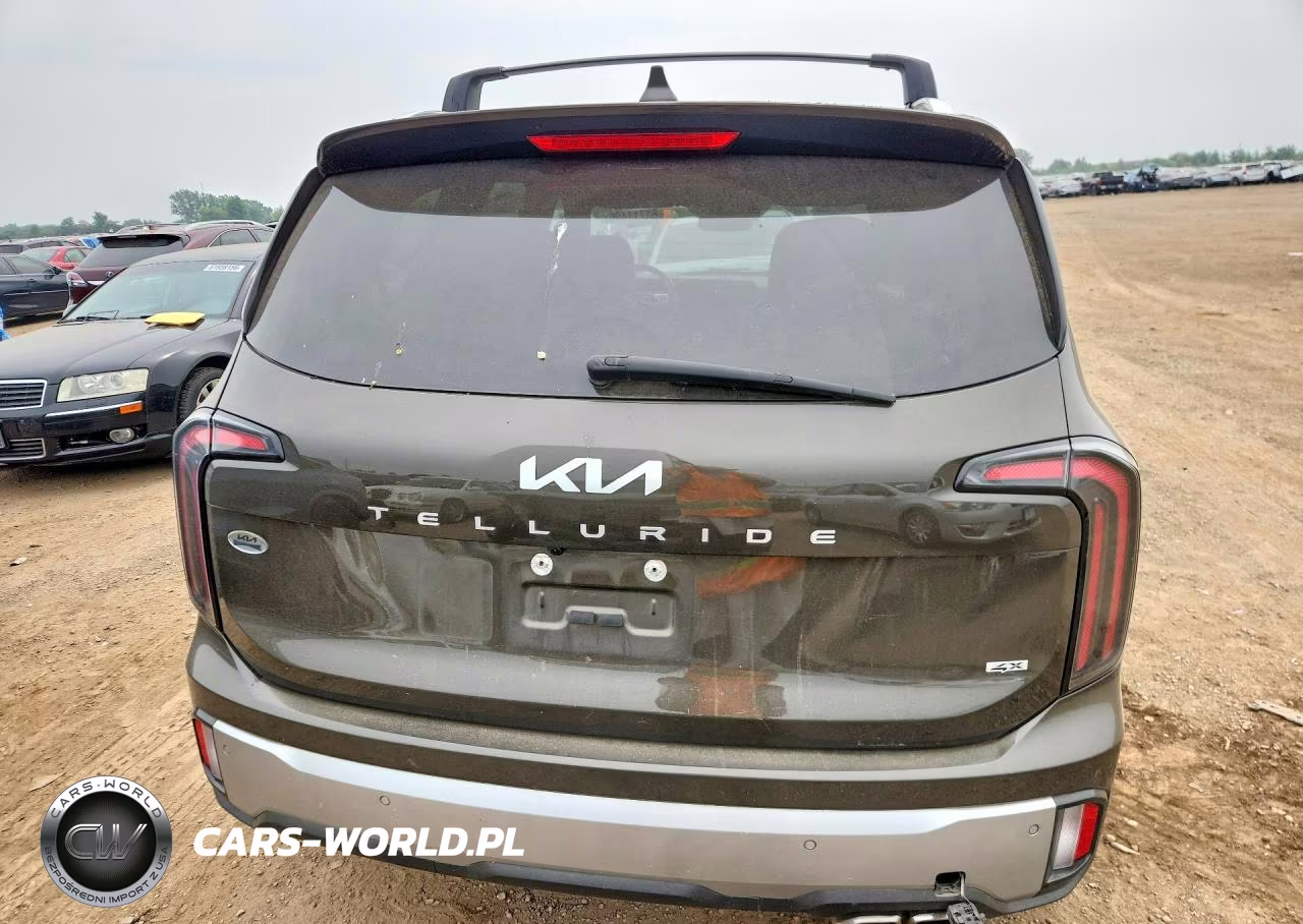 2024 Kia Telluride Sx VIN:5XYP5DGC0RG410330 - 6