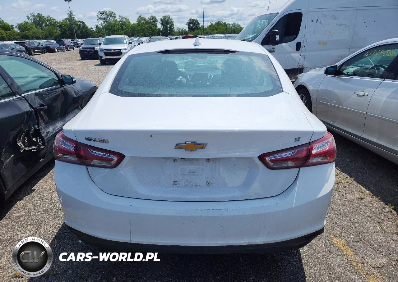 2019 Chevrolet Malibu Lt VIN:1G1ZD5ST8KF136630 - 6