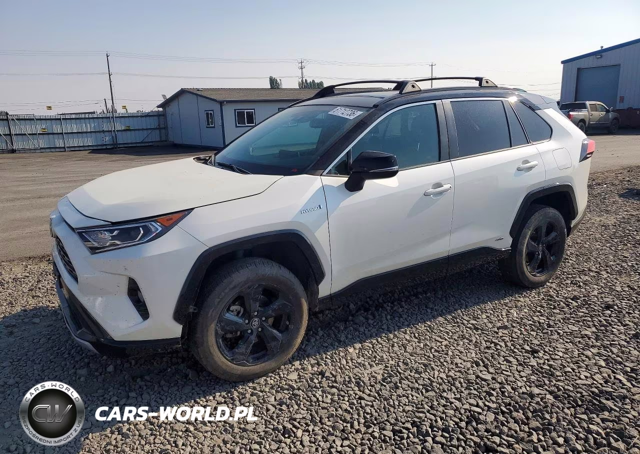 2019 Toyota Rav4 Xse VIN:2T3EWRFVXKW030651 - 1