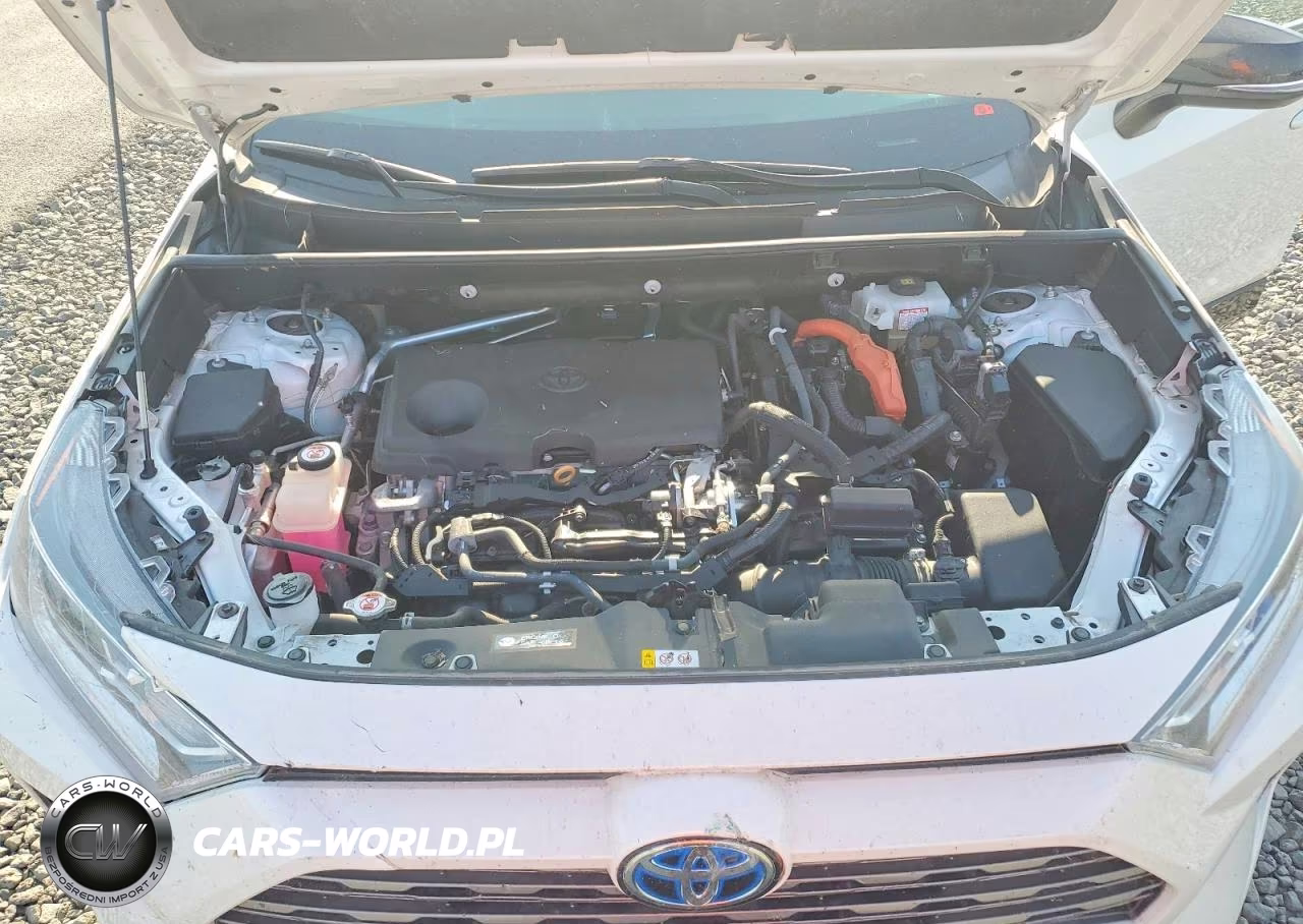 2019 Toyota Rav4 Xse VIN:2T3EWRFVXKW030651 - 12