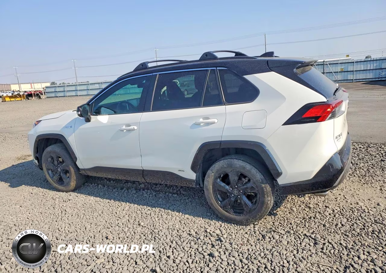 2019 Toyota Rav4 Xse VIN:2T3EWRFVXKW030651 - 2