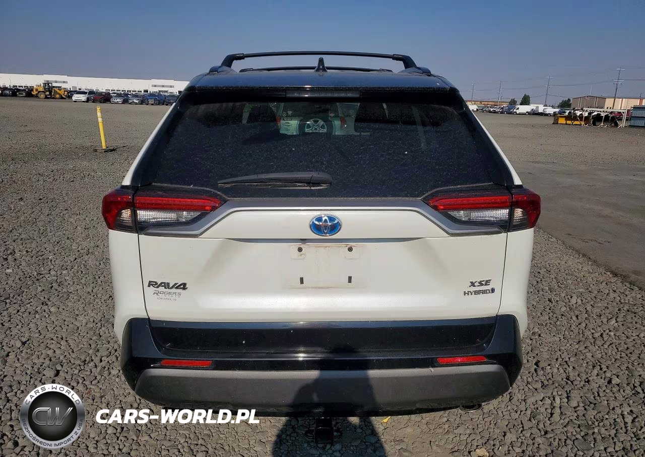 2019 Toyota Rav4 Xse VIN:2T3EWRFVXKW030651 - 6