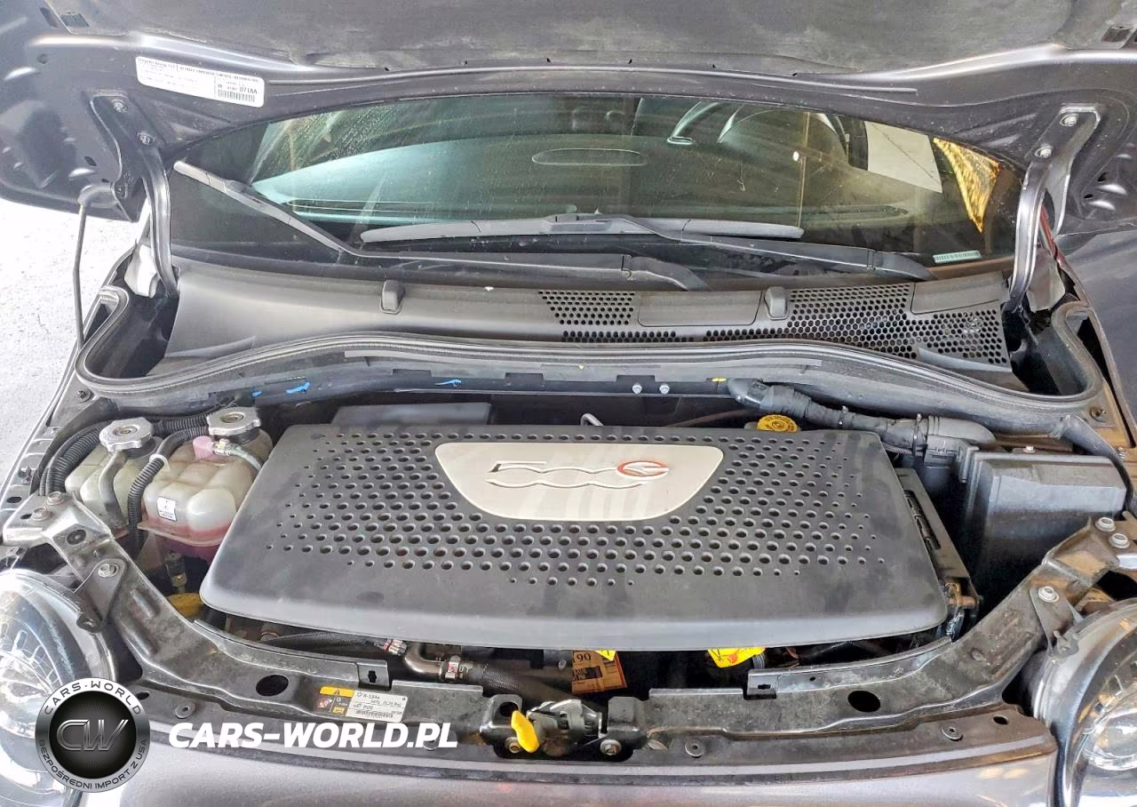 2014 Fiat 500 Electric VIN:3C3CFFGE4ET208560 - 11