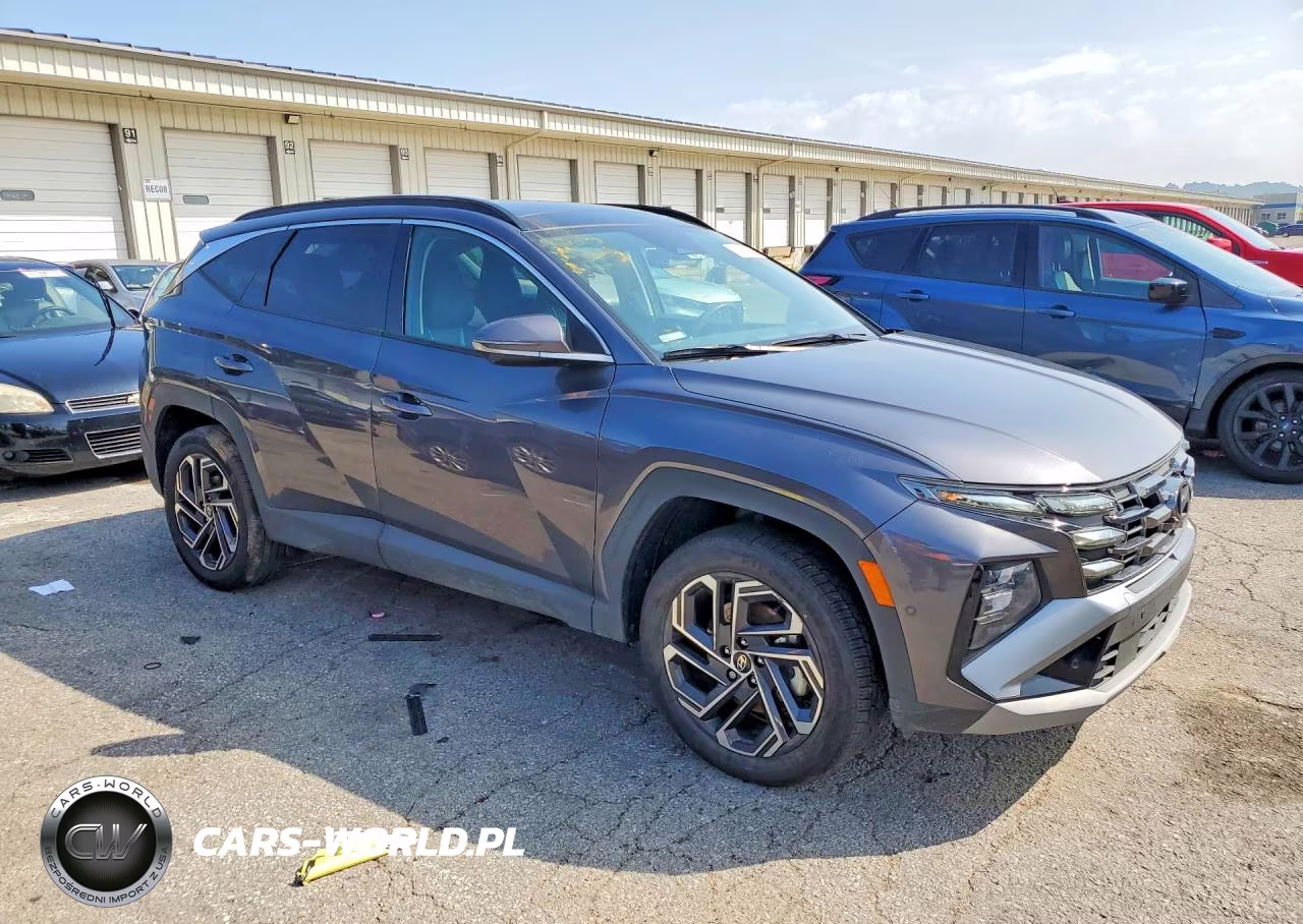 2025 Hyundai Tucson Limited VIN:KM8JEDD1XSU289900 - 4