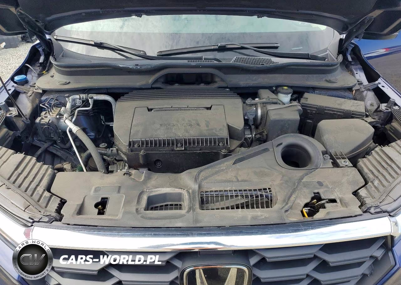 2024 Honda Pilot Exl VIN:5FNYG2H56RB004465 - 12