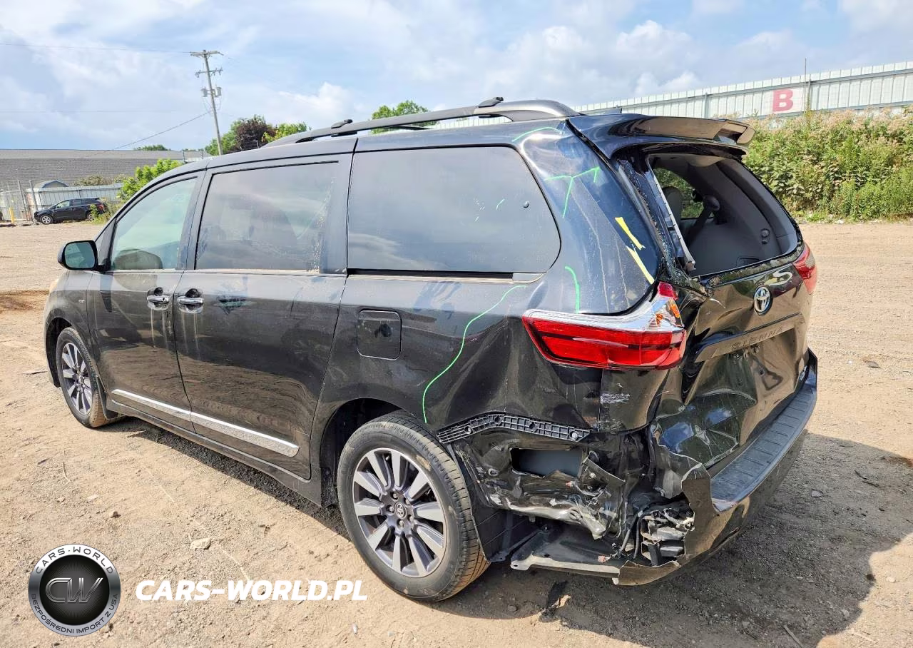2018 Toyota Sienna Xle Premium 7-Passenger VIN:5TDDZ3DC4JS189702 - 2