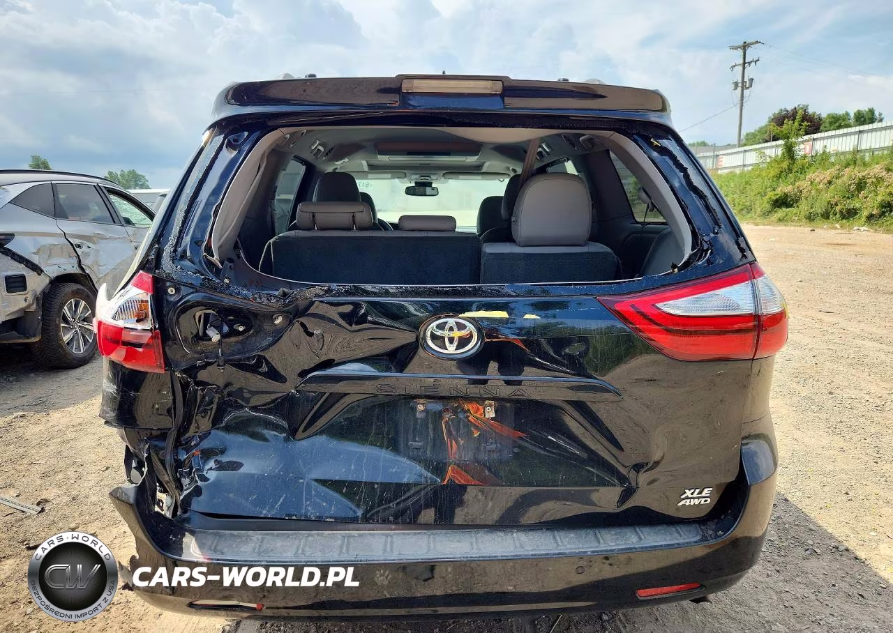 2018 Toyota Sienna Xle Premium 7-Passenger VIN:5TDDZ3DC4JS189702 - 6