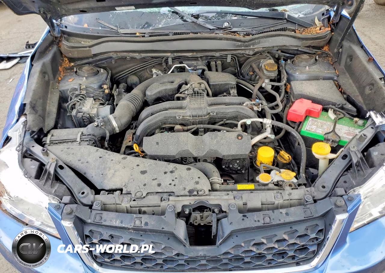 2015 Subaru Forester 2.5I Premium VIN:JF2SJAFC4FH528486 - 12