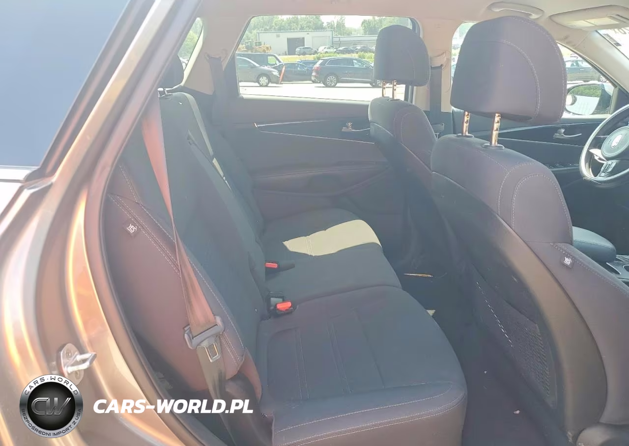 2017 Kia Sorento Lx V6 VIN:5XYPGDA50HG227562 - 10