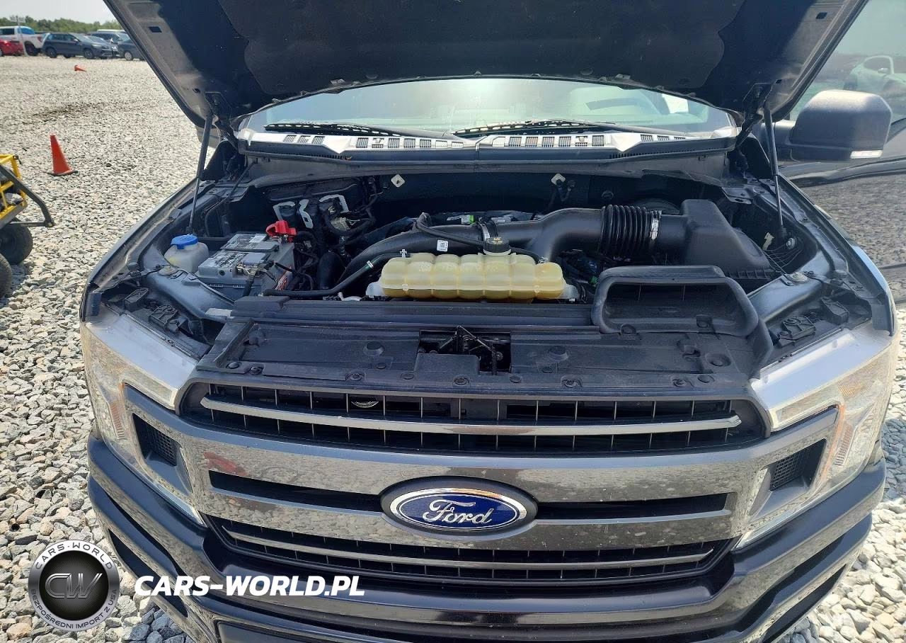 2019 Ford F150 Supercrew VIN:1FTEW1CP5KKD95027 - 11