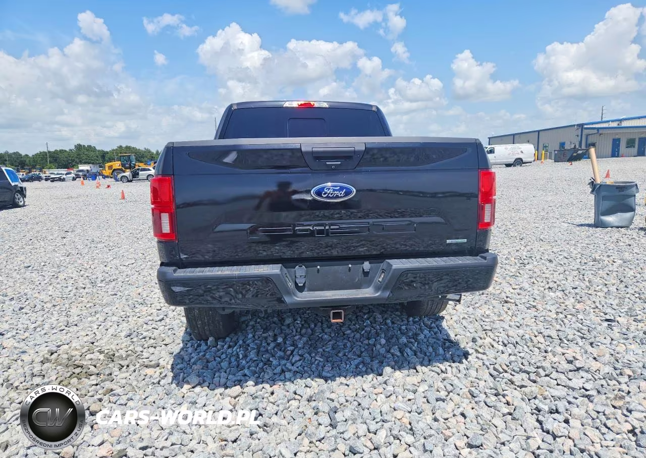 2019 Ford F150 Supercrew VIN:1FTEW1CP5KKD95027 - 6