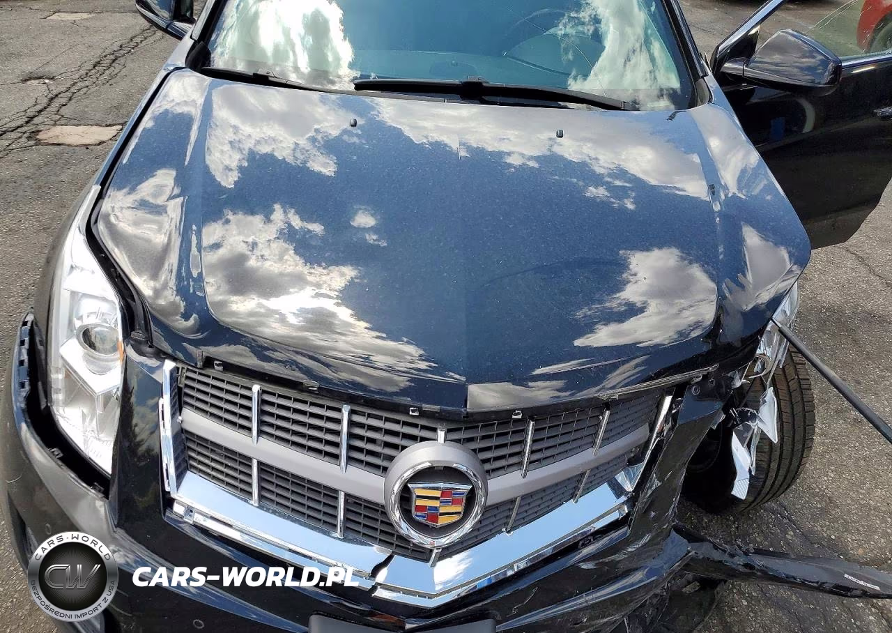 2010 Cadillac Srx Luxury Collection VIN:3GYFNDEY0AS638318 - 11