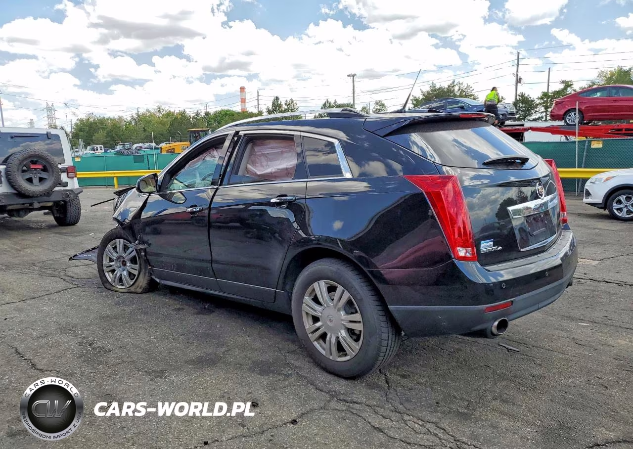 2010 Cadillac Srx Luxury Collection VIN:3GYFNDEY0AS638318 - 2