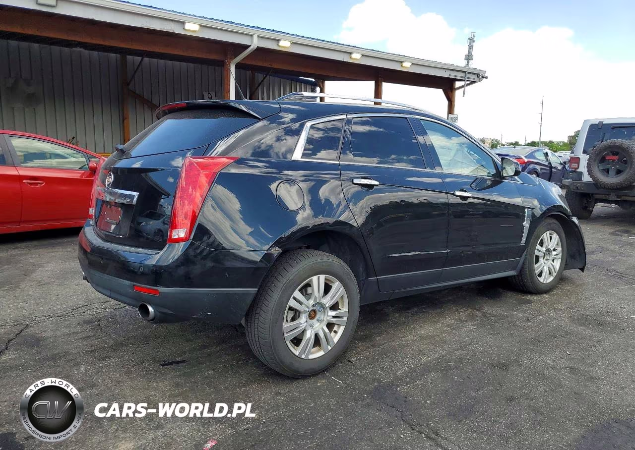 2010 Cadillac Srx Luxury Collection VIN:3GYFNDEY0AS638318 - 3