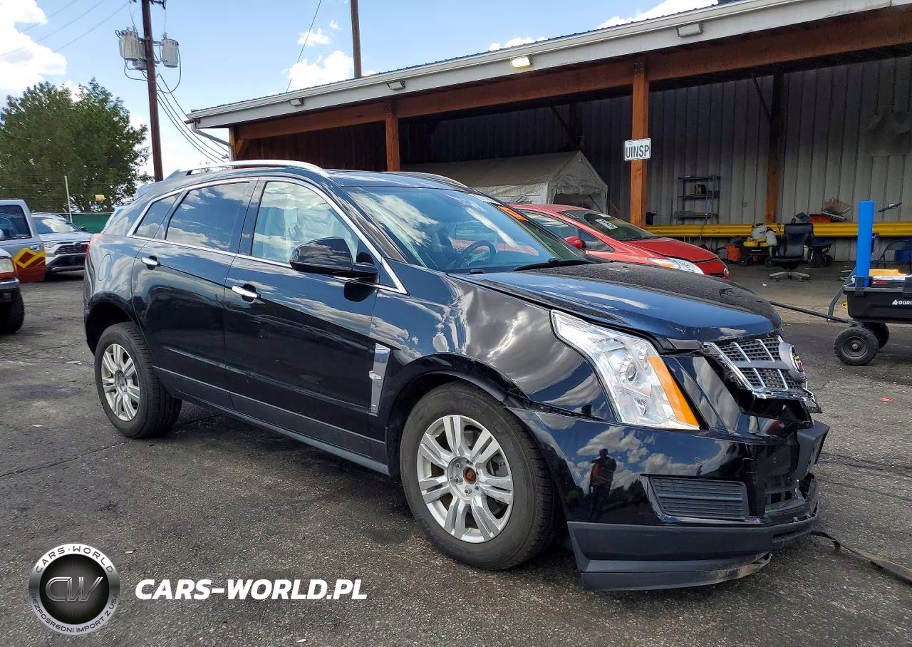 2010 Cadillac Srx Luxury Collection VIN:3GYFNDEY0AS638318 - 4