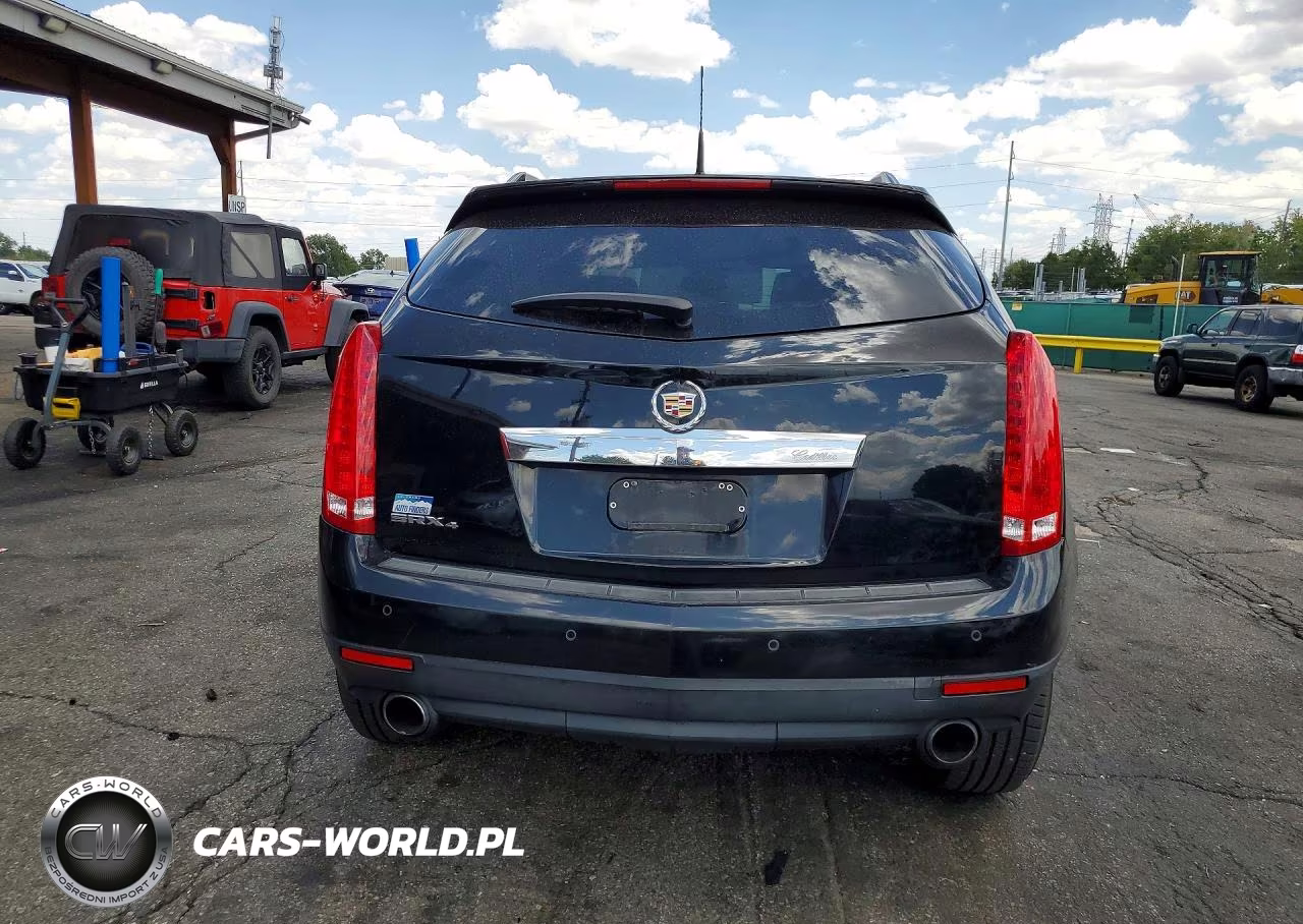 2010 Cadillac Srx Luxury Collection VIN:3GYFNDEY0AS638318 - 6