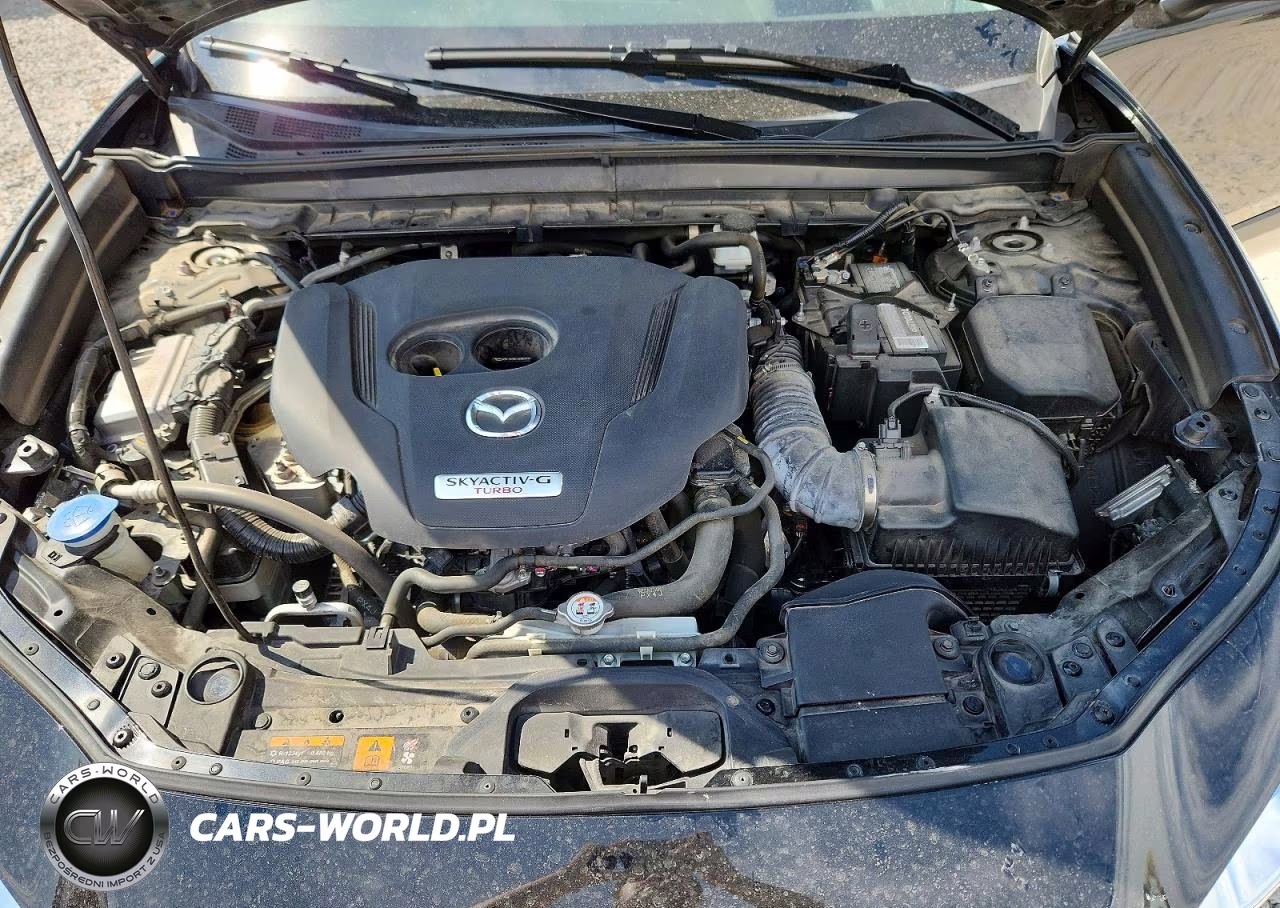 2022 Mazda Cx-30 Premium Plus VIN:3MVDMBEY7NM433382 - 11