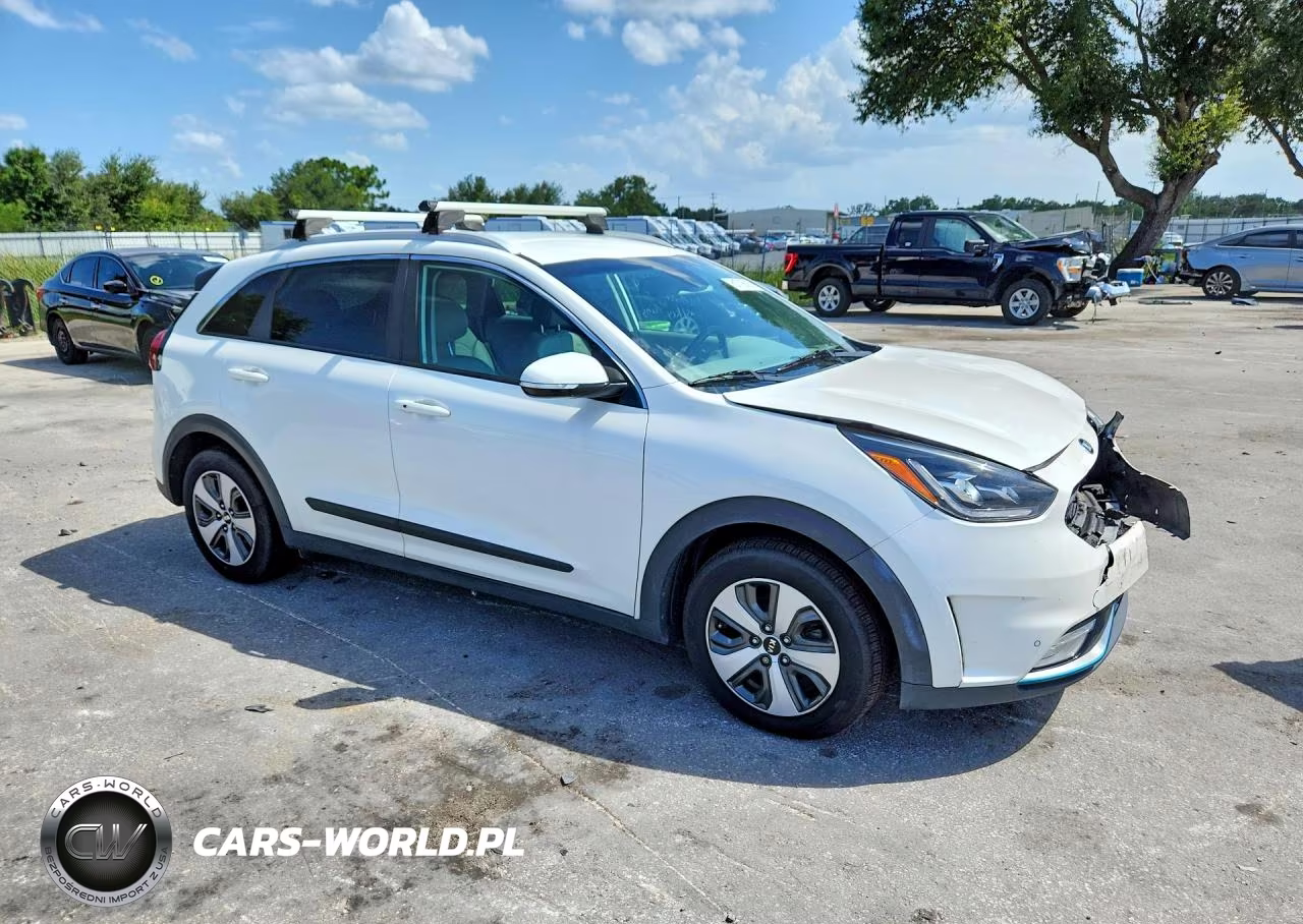 2018 Kia Niro Ex Premium VIN:KNDCC3LDXJ5139481 - 4