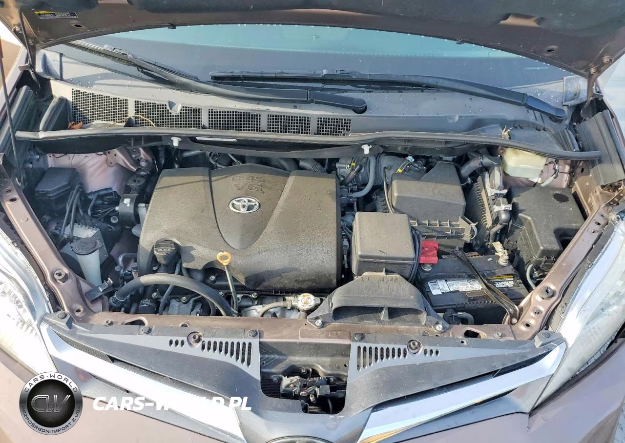 2019 Toyota Sienna Xle Premium 8-Passenger VIN:5TDYZ3DC0KS968291 - 12