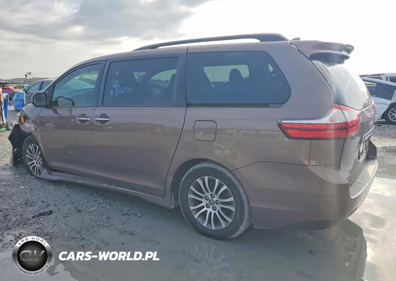 2019 Toyota Sienna Xle Premium 8-Passenger VIN:5TDYZ3DC0KS968291 - 2