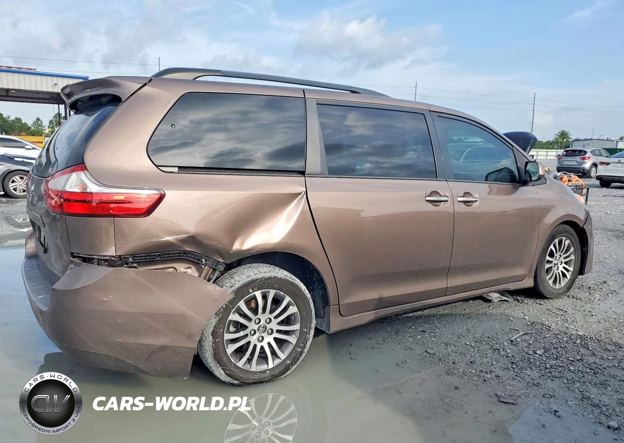 2019 Toyota Sienna Xle Premium 8-Passenger VIN:5TDYZ3DC0KS968291 - 3