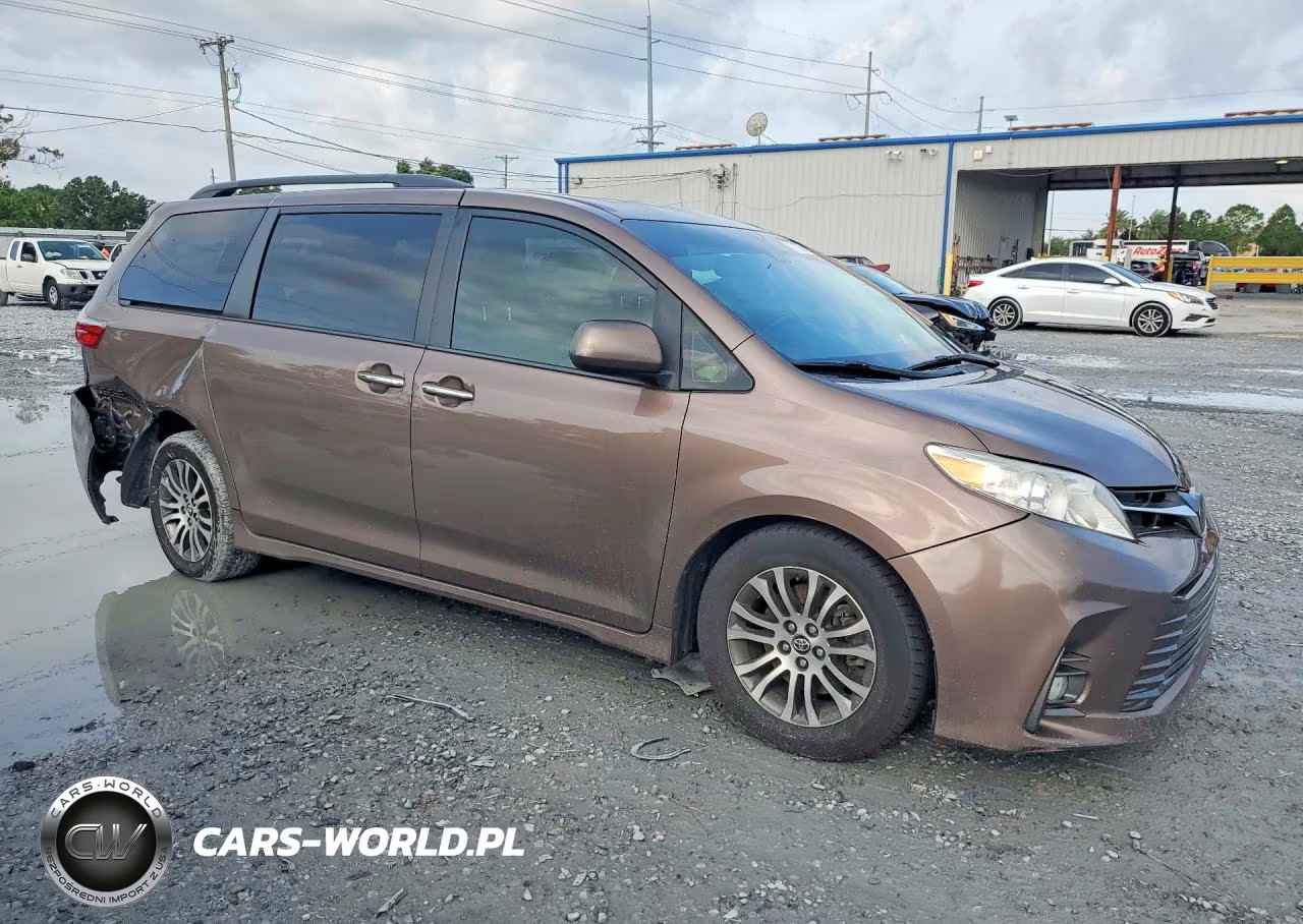 2019 Toyota Sienna Xle Premium 8-Passenger VIN:5TDYZ3DC0KS968291 - 4