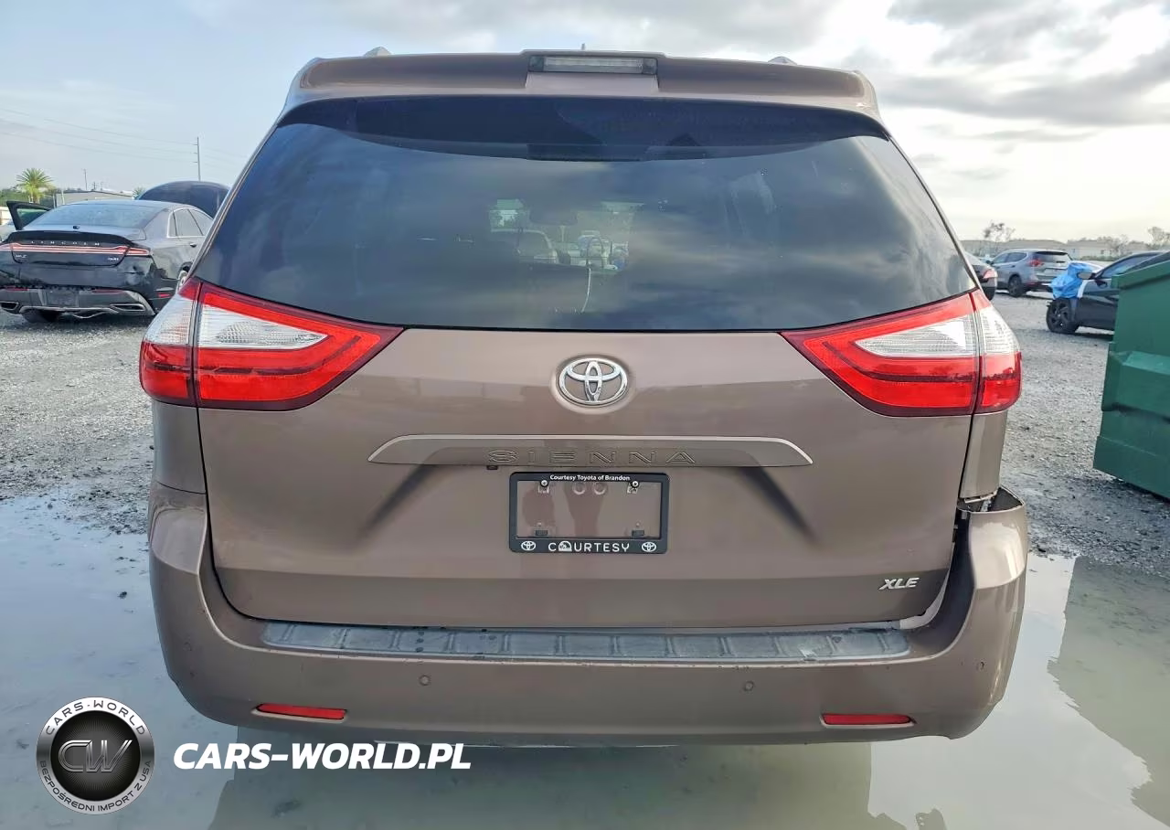 2019 Toyota Sienna Xle Premium 8-Passenger VIN:5TDYZ3DC0KS968291 - 6