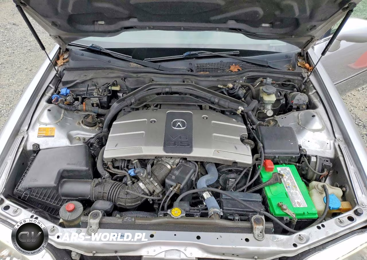 2002 Acura 3.5Rl VIN:JH4KA96512C800108 - 11
