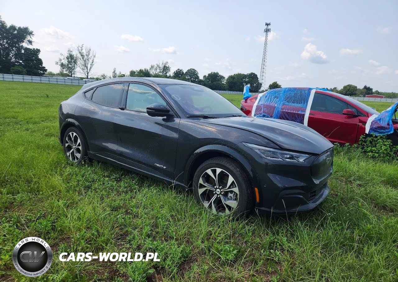 2022 Ford Mustang Mach-E Premium VIN:3FMTK3RM5NMA41724 - 4