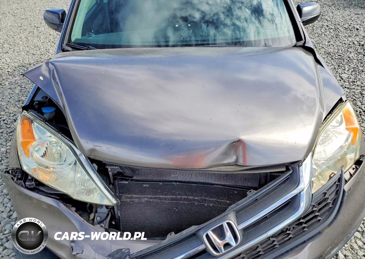 2011 Honda Cr-V Se VIN:5J6RE3H42BL046068 - 12