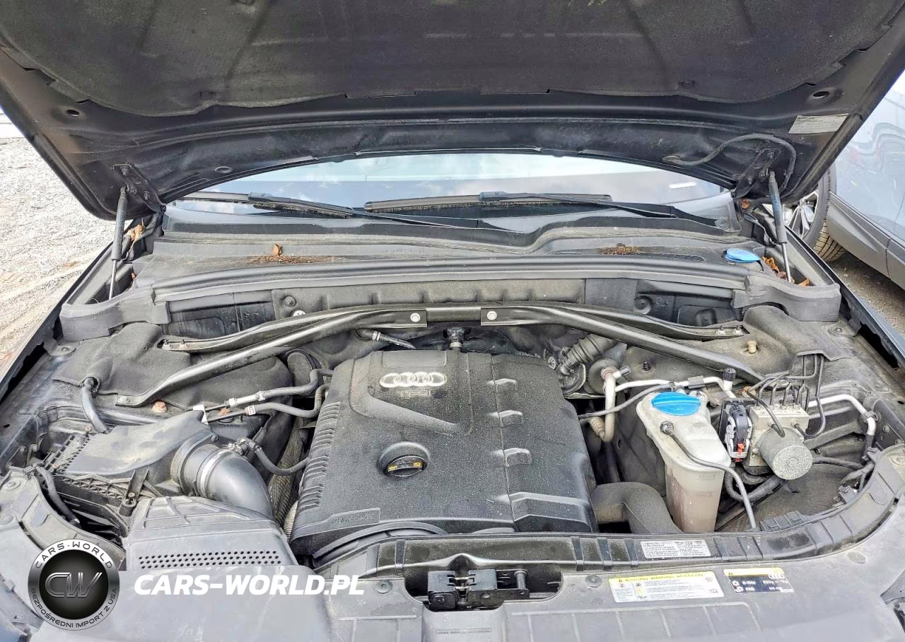 2013 Audi Q5 Premium Plus VIN:WA1LFAFPXDA034124 - 12